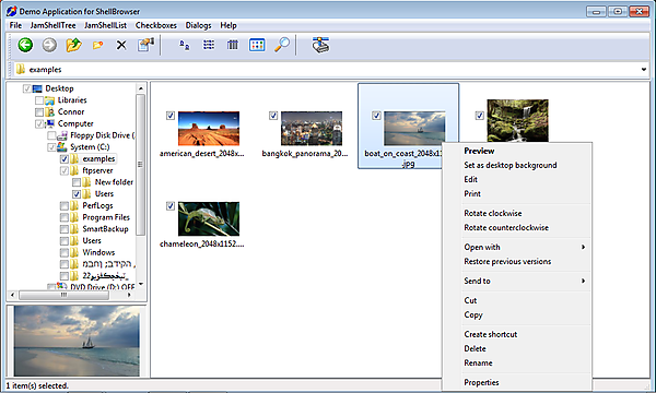 ShellBrowser Components Delphi Edition 9.3.0 software screenshot