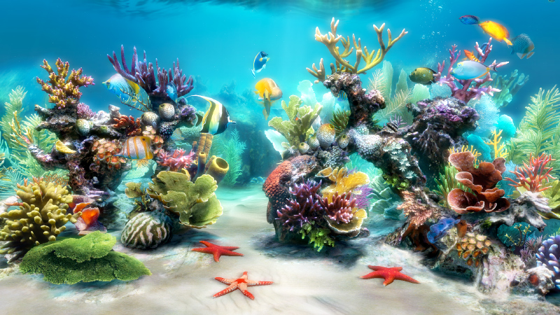 Sim Aquarium FREE! 3.1.29b software screenshot