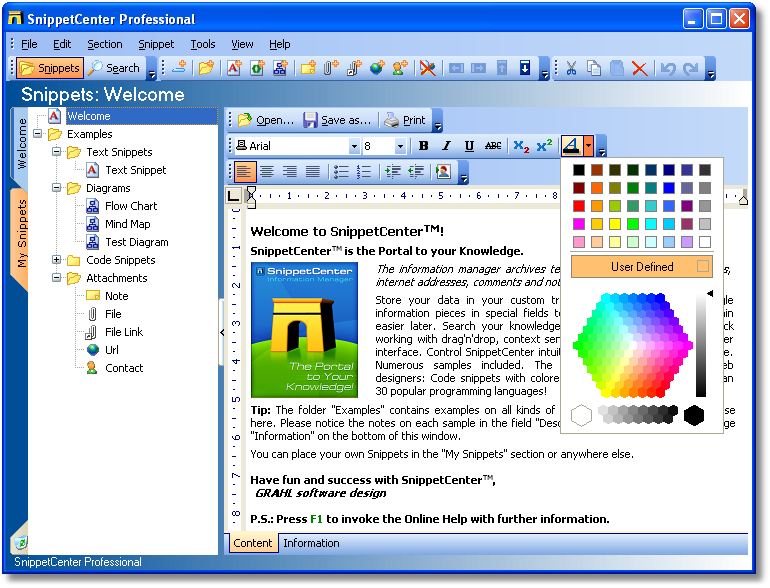 SnippetCenter Professional 2.1.0.60 software screenshot