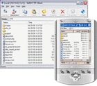 SoftX FTP Client 3.3 software screenshot