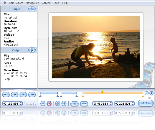 SolveigMM Video Splitter 3.6.1301.11 software screenshot