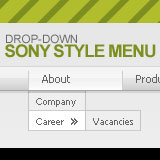 Sony Style Drop-Down Flash Menu 1.0.5 software screenshot
