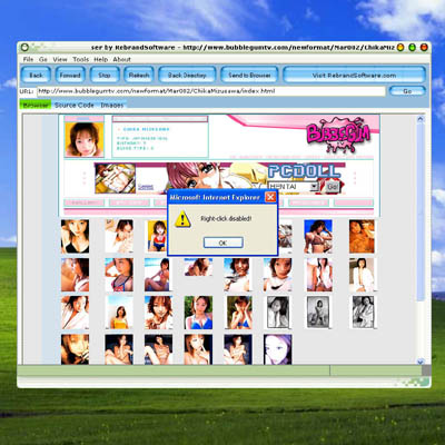 Source Code Browser 2.1 software screenshot