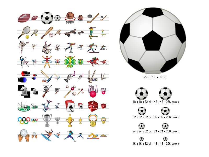 Sport Icons 2011.1 software screenshot