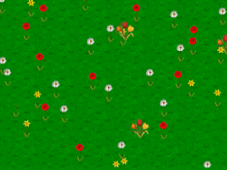 Spring Wildflowers Screensaver 1.4 software screenshot