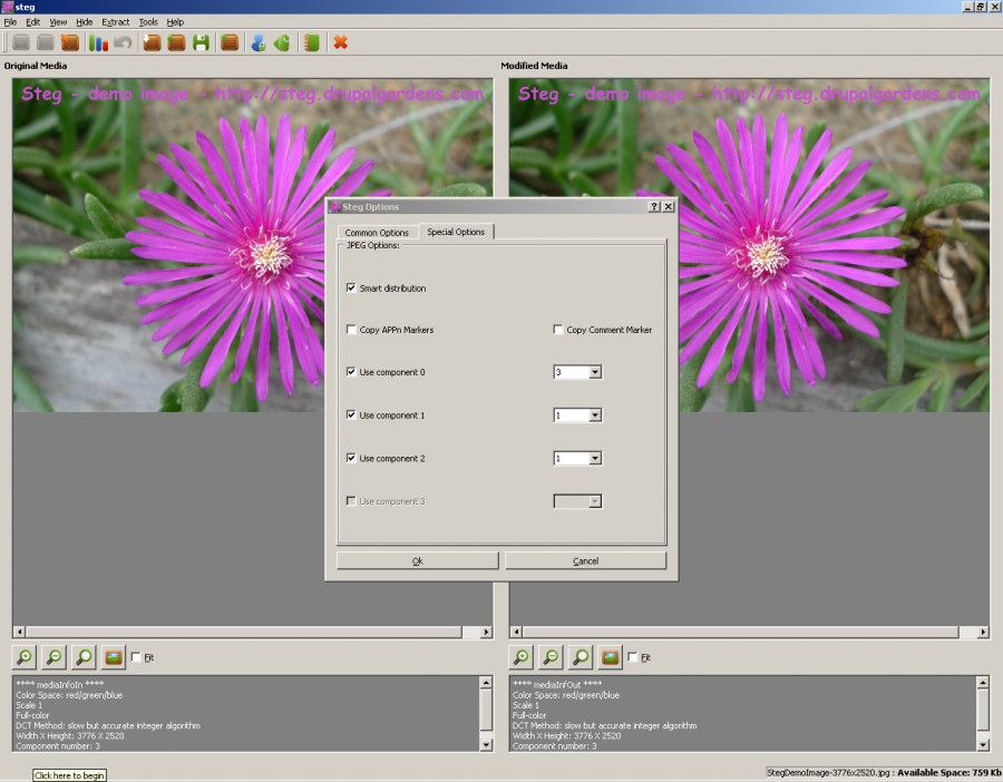 Steg 1.0.0.2 software screenshot