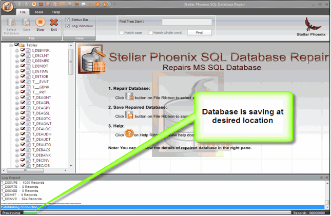 Stellar Phoenix SQL Database Repair 6.0.0.0 software screenshot