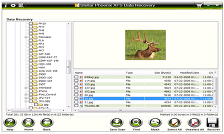 Stellar Phoenix XFS Data Recovery 1.0.0.0 software screenshot