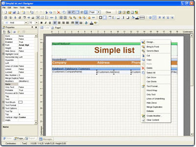StimulReport.Net 2007.1 software screenshot