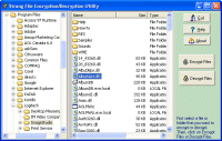 Strong File Encryption Decryption 1.0 software screenshot