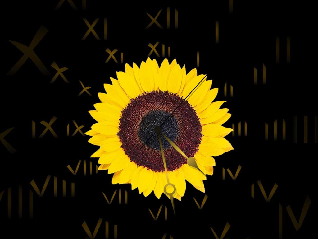 Sunflower Clock ScreenSaver 2.3 software screenshot