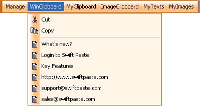 Swift Paste 2.1 software screenshot