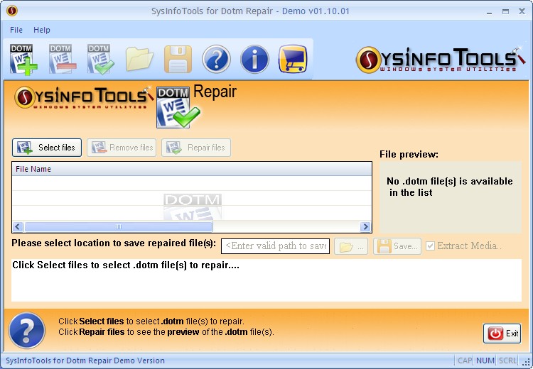 SysInfoTools Dotm Repair 1.01 software screenshot