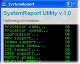 SystemReport 1.00 software screenshot