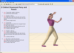 Tai Chi 3D 1.1 software screenshot