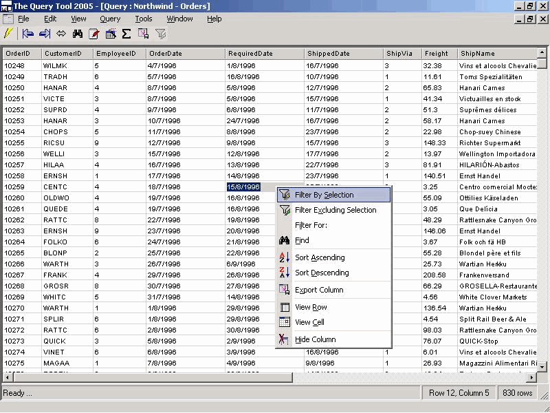 The Query Tool 2005 6.0.1 software screenshot