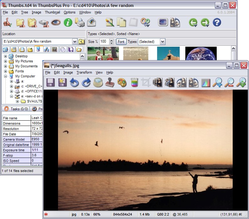 ThumbsPlus 7-SP2 software screenshot