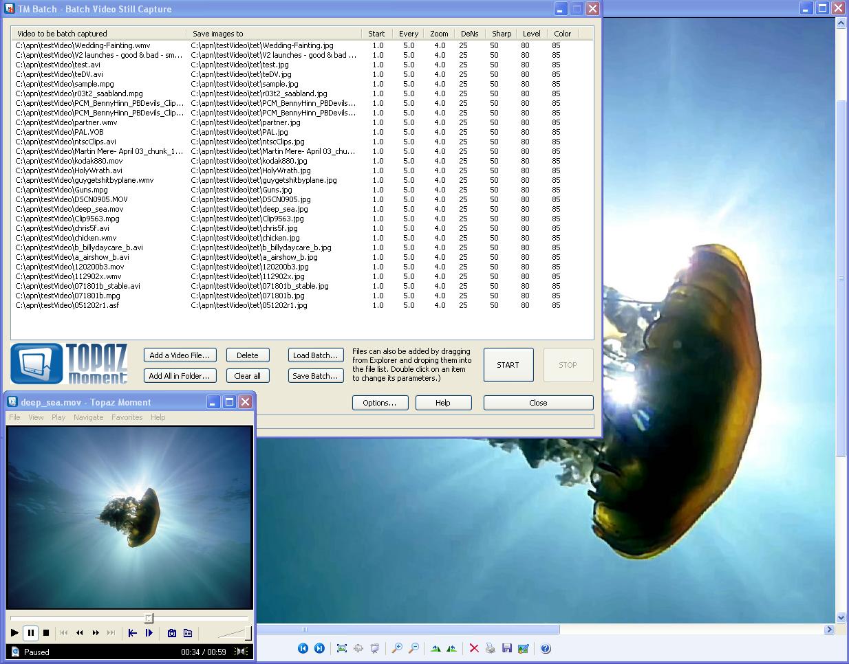 Topaz Moment, Production Edition 3.5 software screenshot