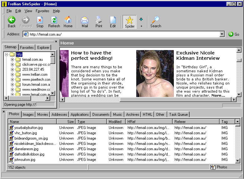 Trellian SiteSpider 1.00.004 software screenshot
