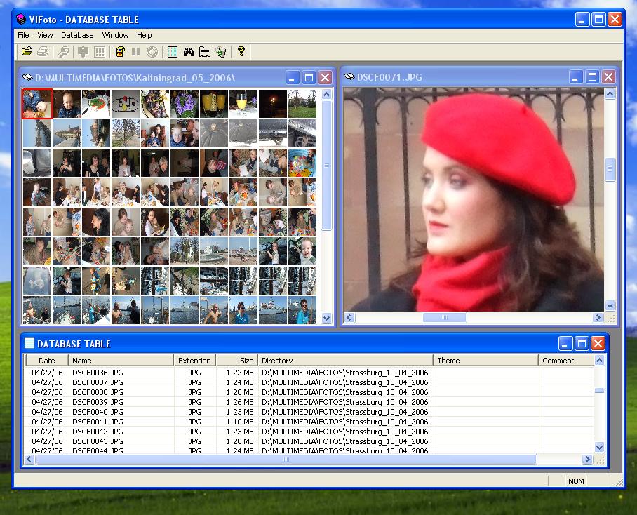 VIFoto 1.0 software screenshot