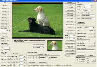 VISCOM Image Viewer CP Pro ActiveX SDK 9.51 software screenshot