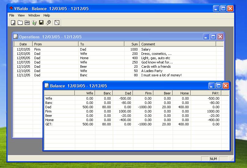 VISaldo 1.1 software screenshot