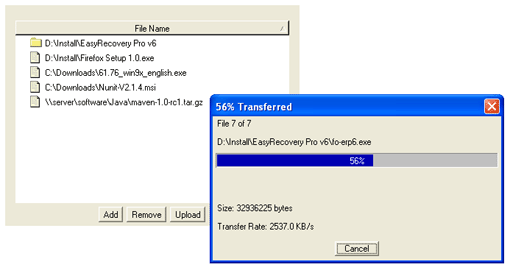 Vault File Upload and Download Applet 2.1 software screenshot
