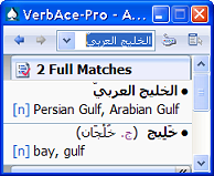 VerbAce-Pro Arabic-English 2.0 software screenshot