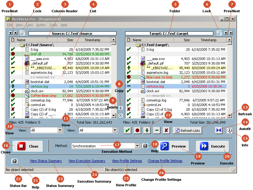 ViceVersa PRO 2.5.2517 software screenshot