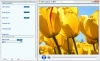 Video Capture to MP4 1.02 software screenshot