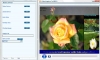Video Capture to MPEG 1.02 software screenshot