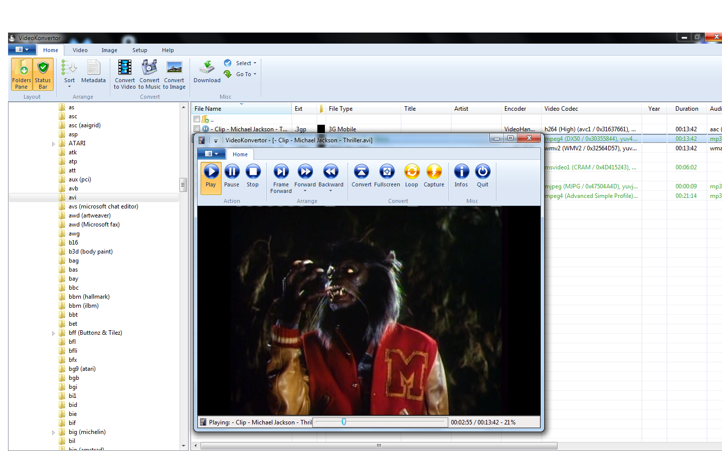 VideoKonvertor 1.01.2 software screenshot