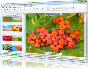 VintaSoft Imaging.NET SDK 8.5.2.1 software screenshot