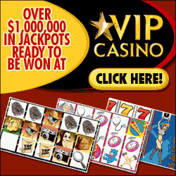 Vip Casino Online 8-2009 Pro. Bolc. software screenshot