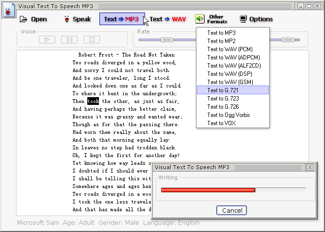 Visual Text To Speech MP3 1.1 software screenshot