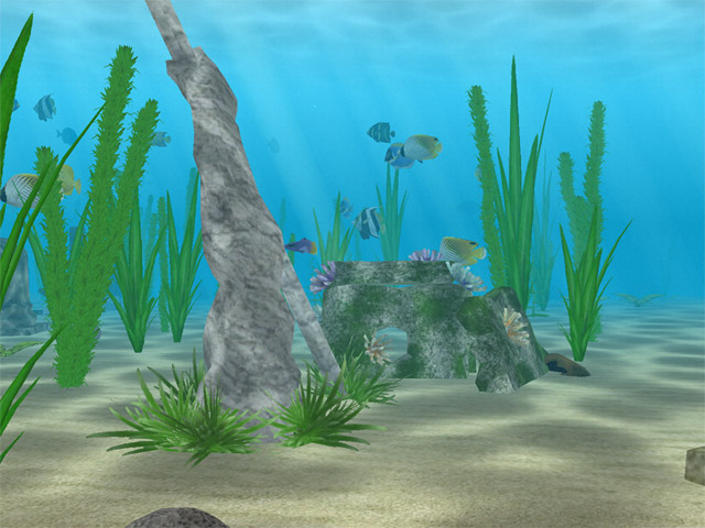 Water Life 2.9.7 software screenshot