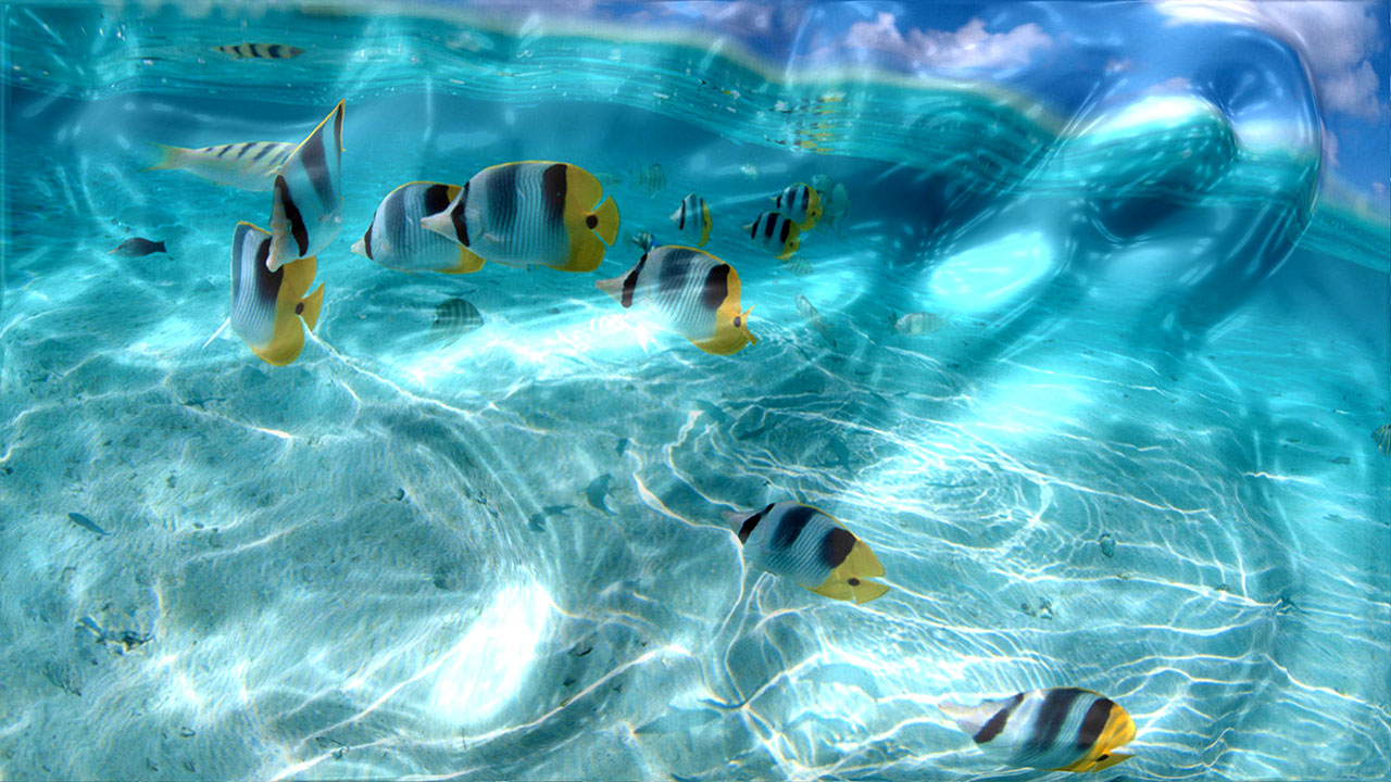 Watery Desktop 3D Screensaver 4.06 software screenshot