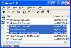 Waver 2.95 software screenshot