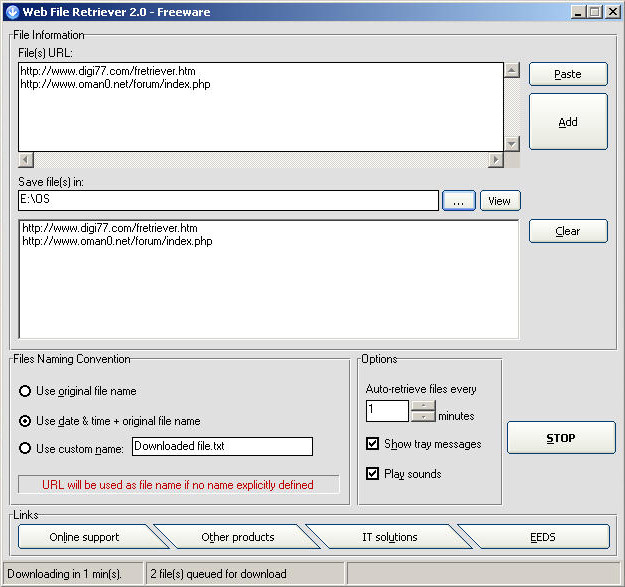 Web File Retriever 2.1 software screenshot