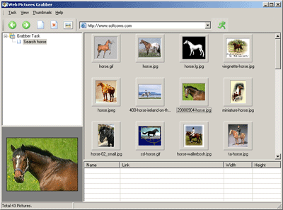 Web Pictures Grabber 2.00 software screenshot