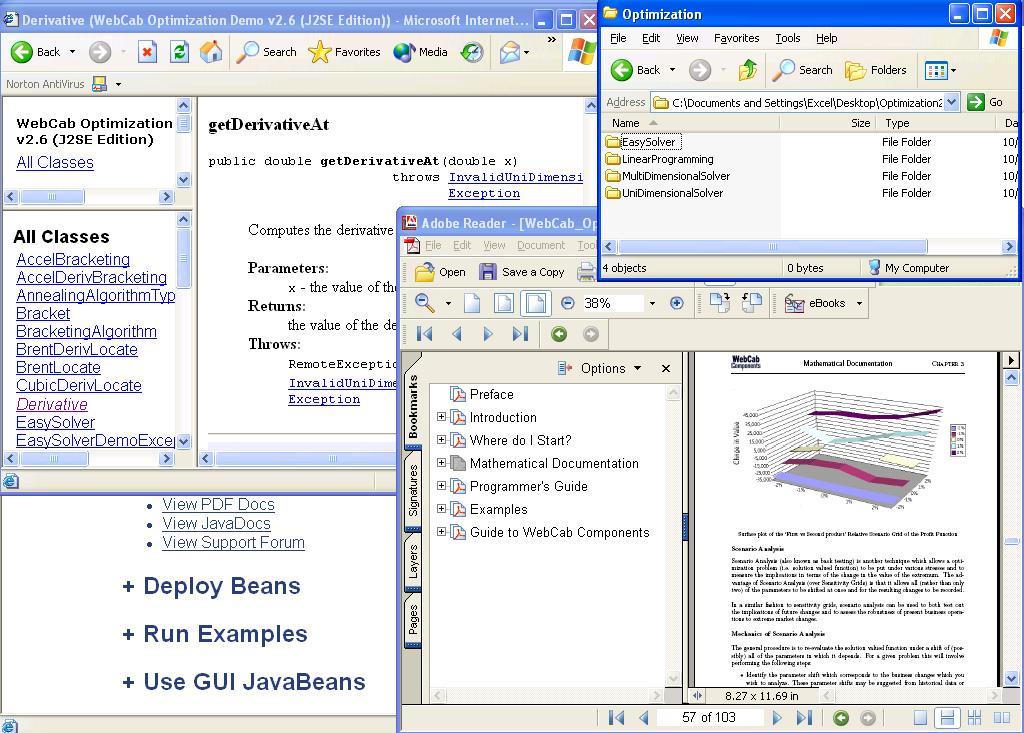 WebCab Optimization (J2SE Edition) 2.6 software screenshot