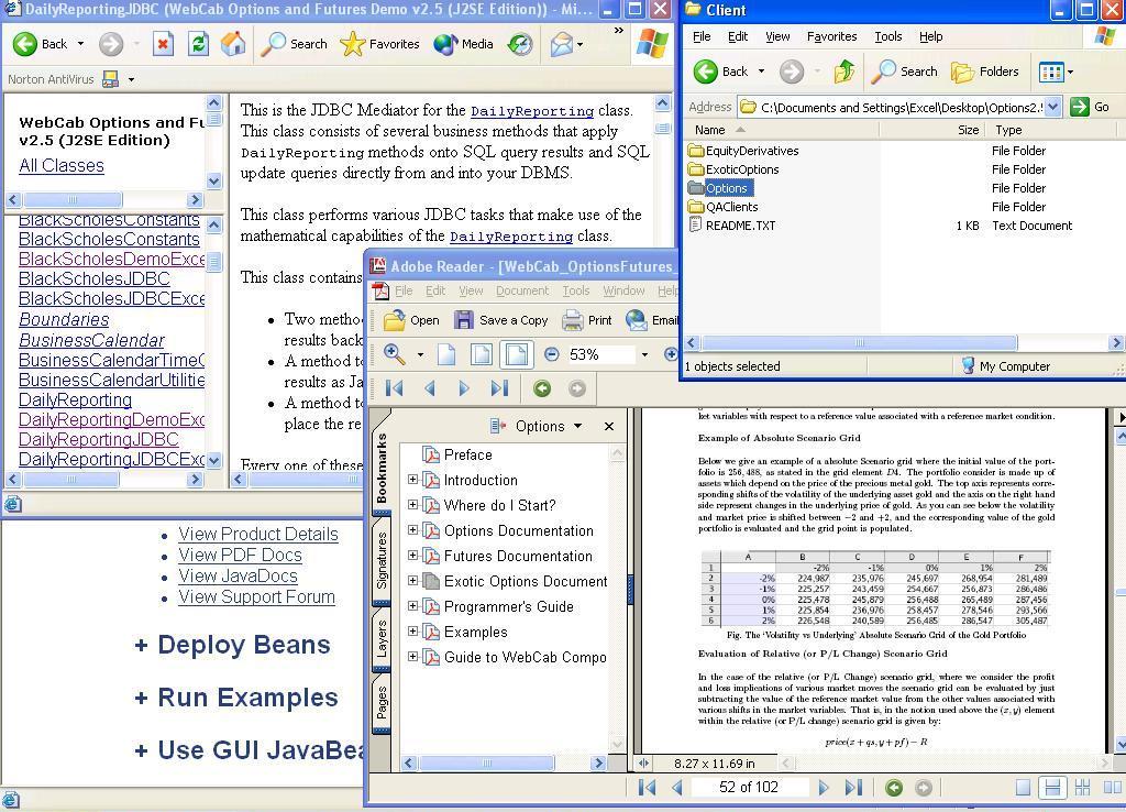 WebCab Options (J2SE Edition) 3.1 software screenshot
