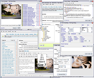 WebClickGo - Easy Online Website Creator 1.5 software screenshot