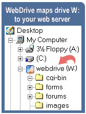 WebDrive 2017.4562 software screenshot