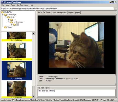 WebcamVideoDiary 1.03.01 software screenshot