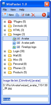 WinPaster 1.2.0 software screenshot