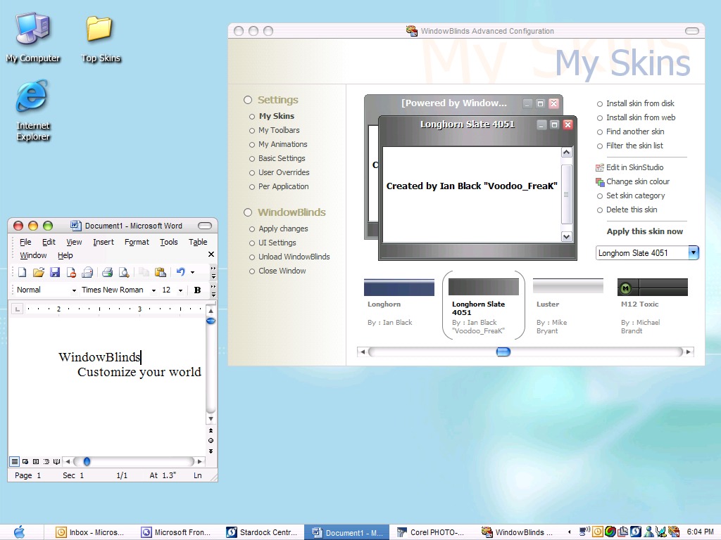 WindowBlinds4.6 4.6 software screenshot
