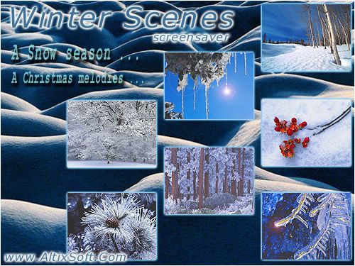 Winter Scenes Screensaver 1.1 software screenshot