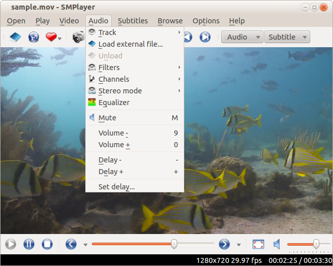 X-SMPlayer 17.4.0.8495 [rev6] software screenshot