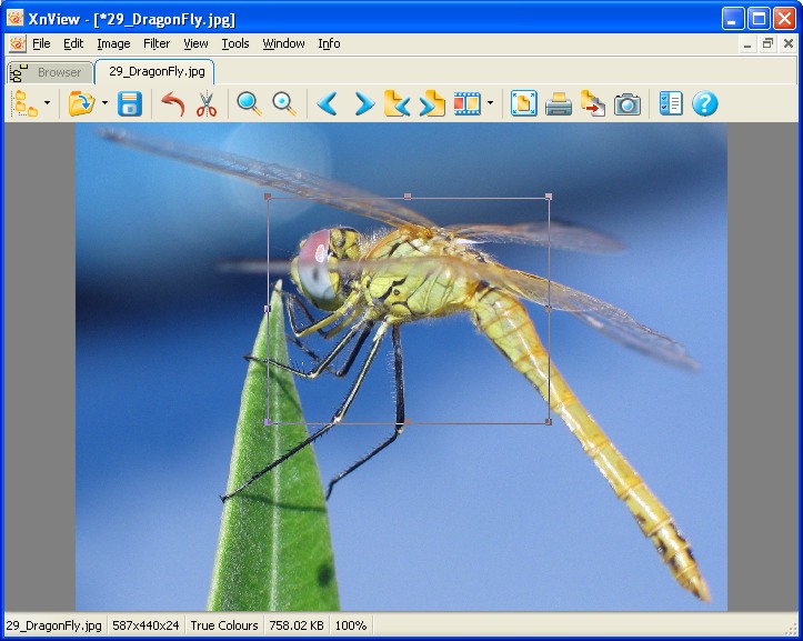 XnView 2.40 software screenshot